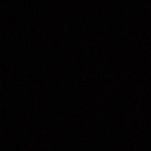 Meet your Posher, Tabitha